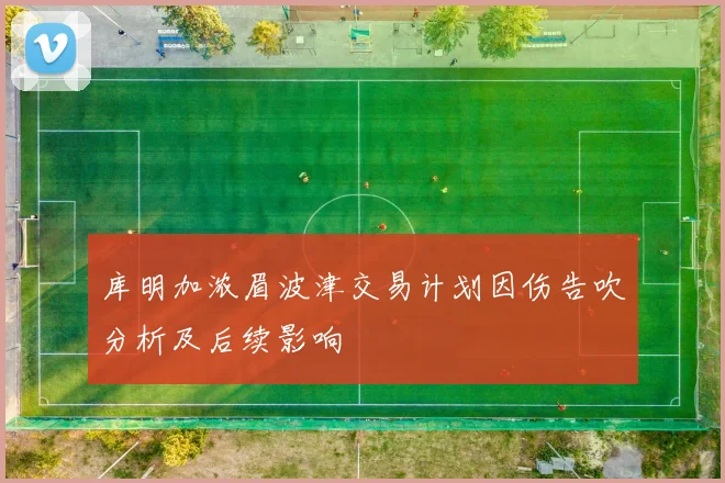 库明加浓眉波津交易计划因伤告吹分析及后续影响